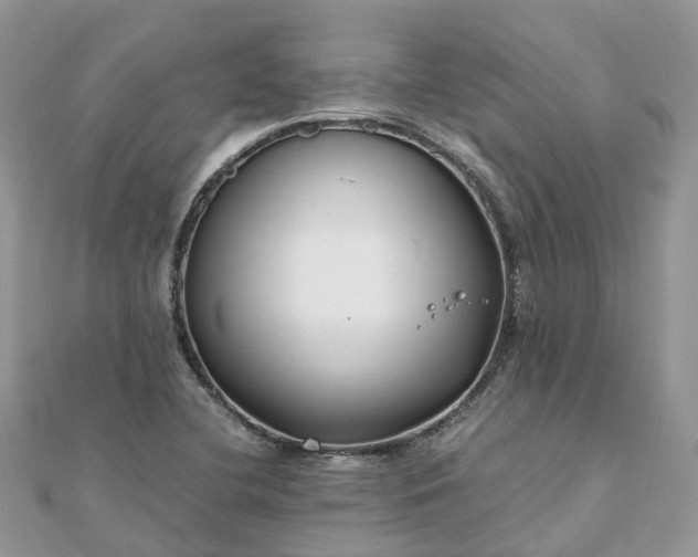 X0000111851412200907301101