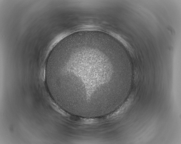 X0000111851413200907301101