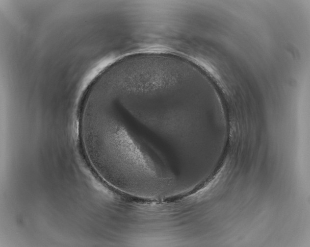 X0000111851414200907301101