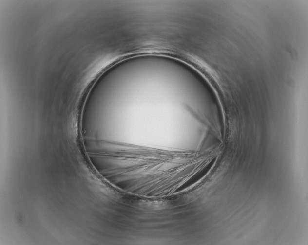 X0000111851415200907301101