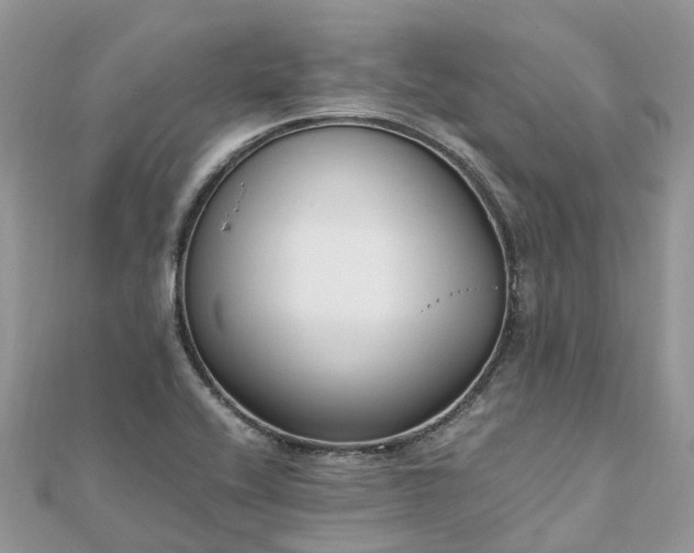 X0000111851416200907301101