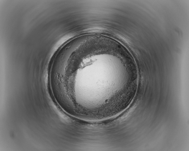 X0000111851418200907301101