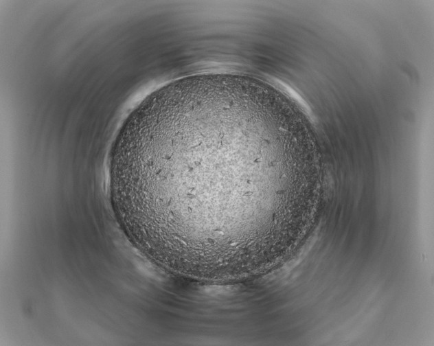X0000111851419200907301101