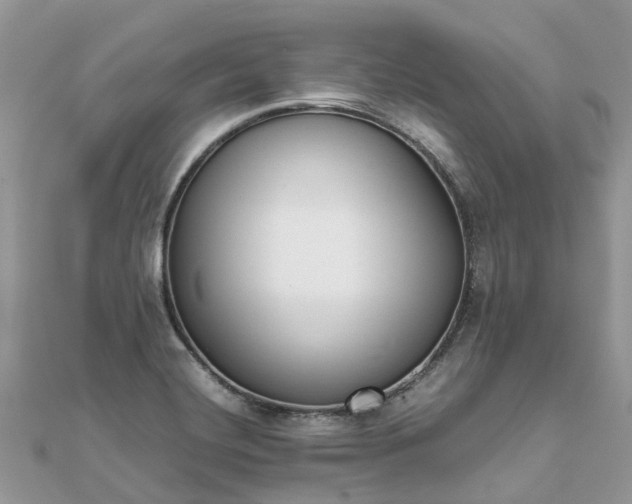 X0000111851420200907301101