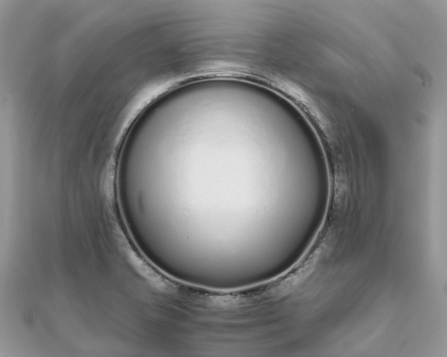 X0000111851421200907301101