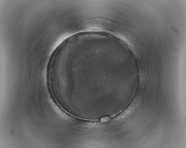X0000111851422200907301101