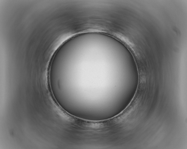 X0000111851423200907301101