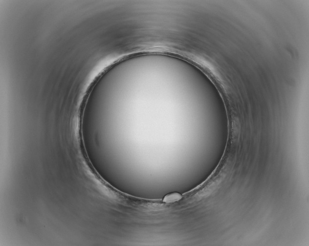 X0000111851424200907301101