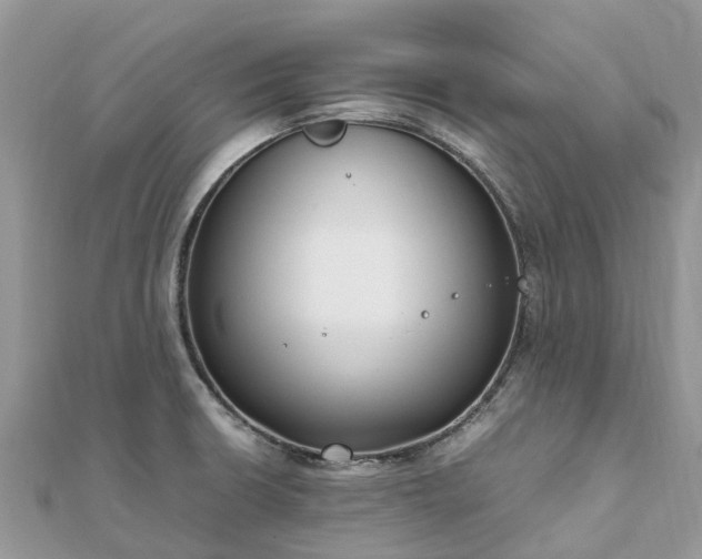 X0000111851426200907301101