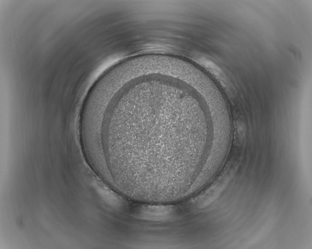 X0000111851427200907301101
