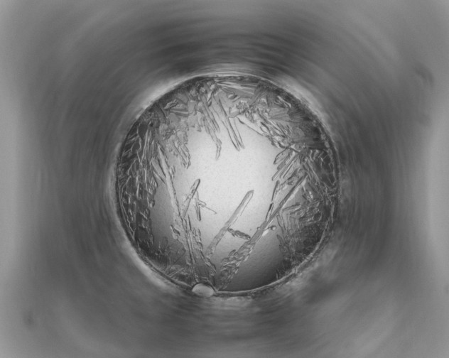 X0000111851429200907301102