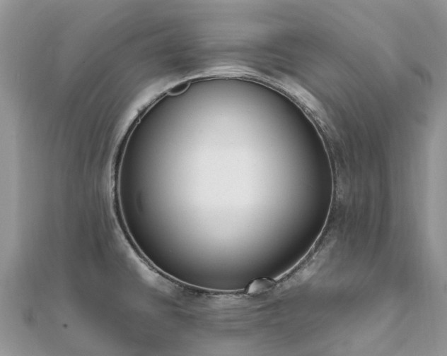 X0000111851430200907301102