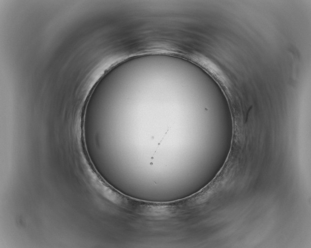 X0000111851431200907301102