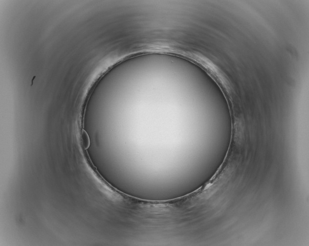 X0000111851432200907301102