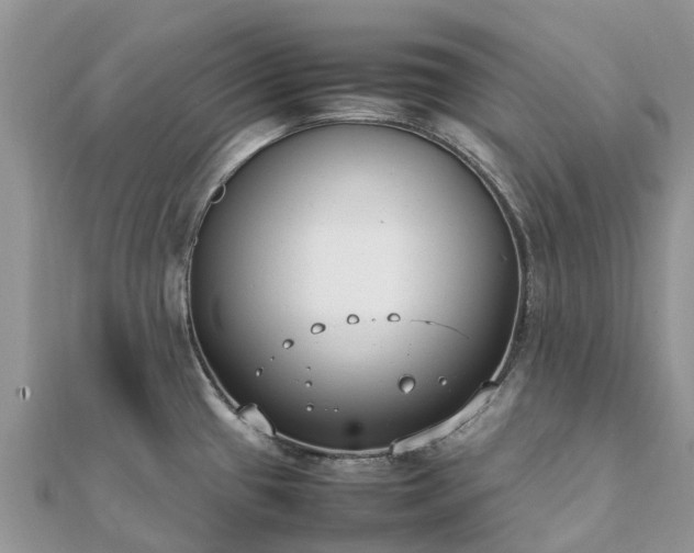 X0000111851433200907301102