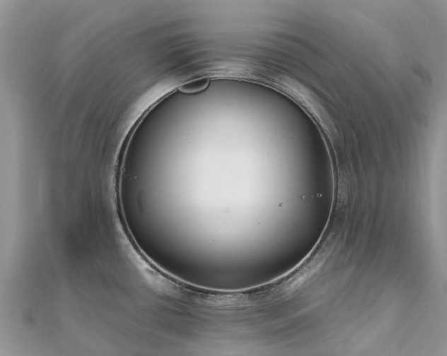 X0000111851434200907301102