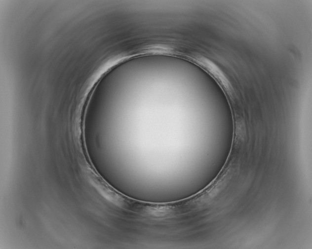 X0000111851435200907301102