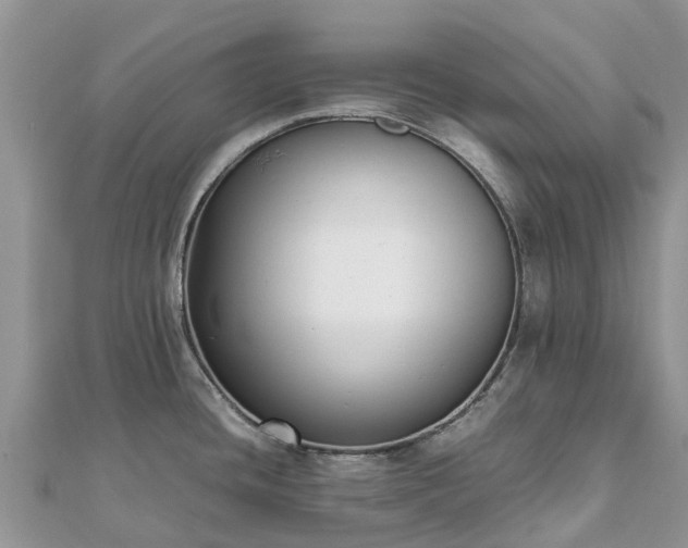 X0000111851436200907301102