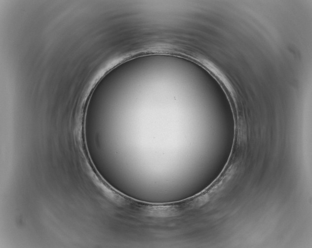 X0000111851437200907301102