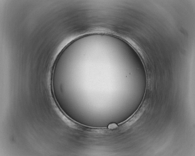 X0000111851438200907301102