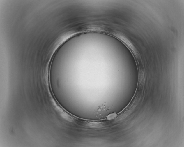X0000111851439200907301102