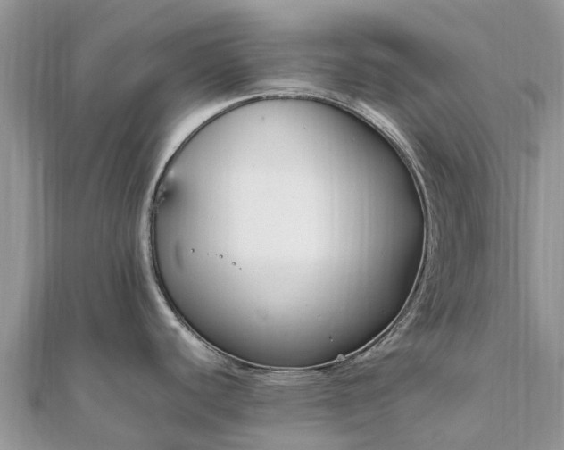 X0000111851440200907301102
