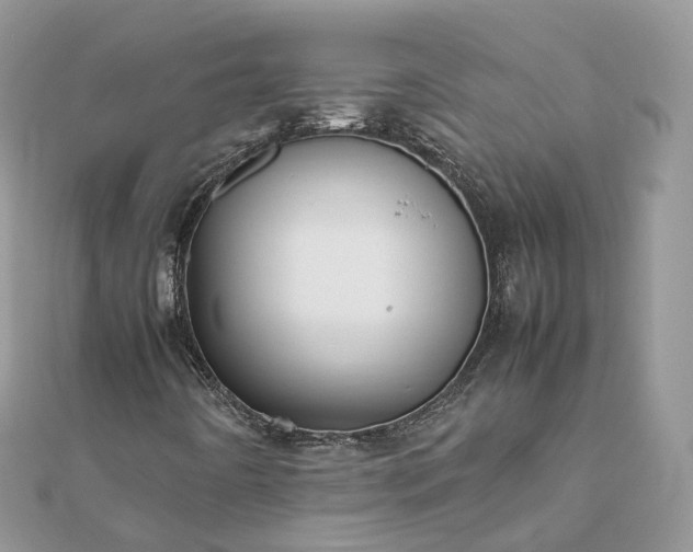 X0000111851442200907301101