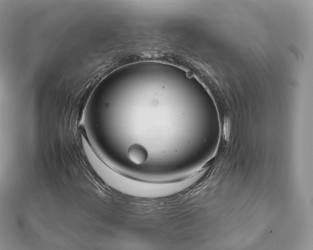 X0000111851444200907301101