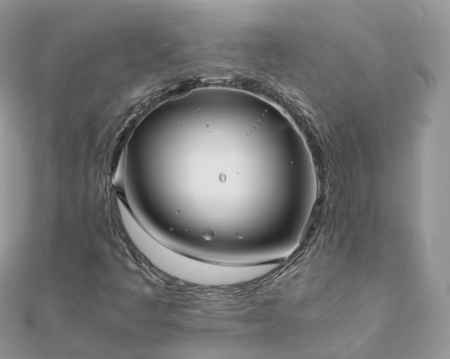 X0000111851445200907301101