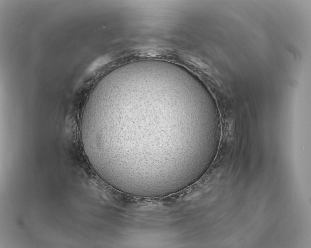 X0000111851446200907301101