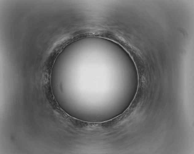 X0000111851447200907301101