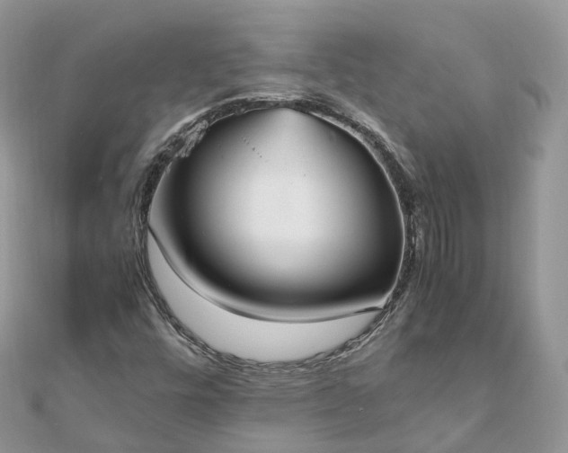X0000111851448200907301101