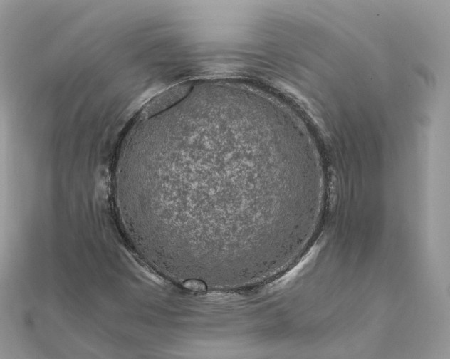 X0000111851449200907301101