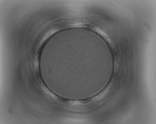 X0000111851450200907301101