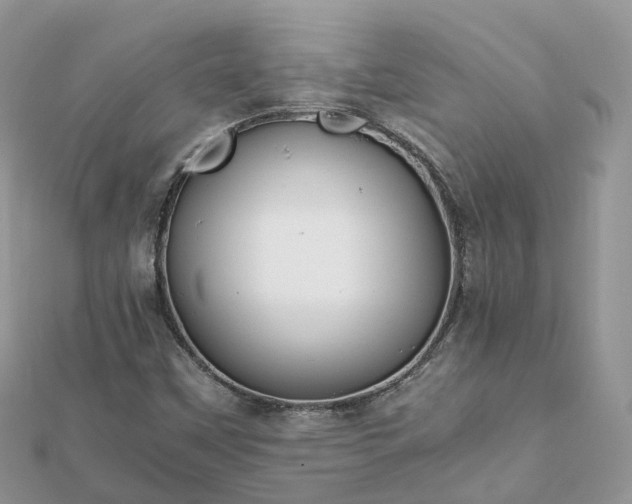 X0000111851451200907301101