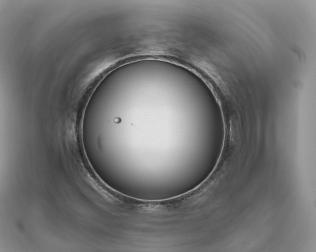 X0000111851452200907301101