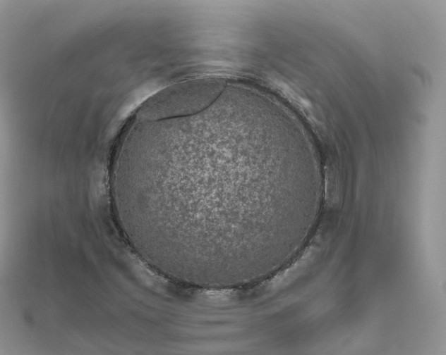 X0000111851453200907301101