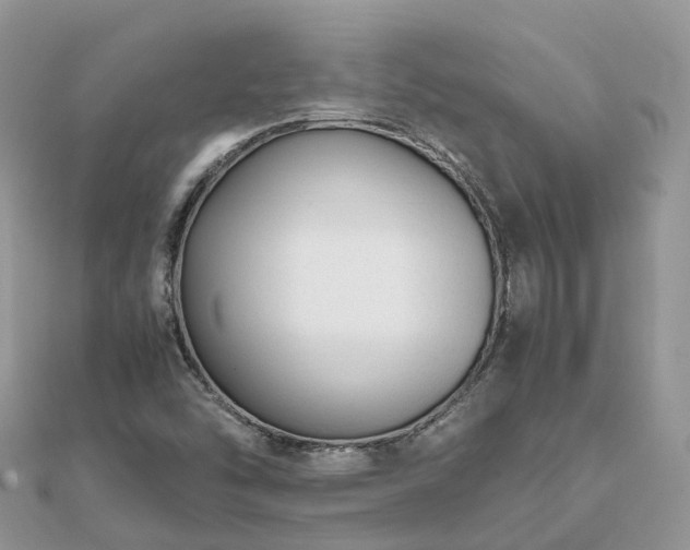 X0000111851454200907301101