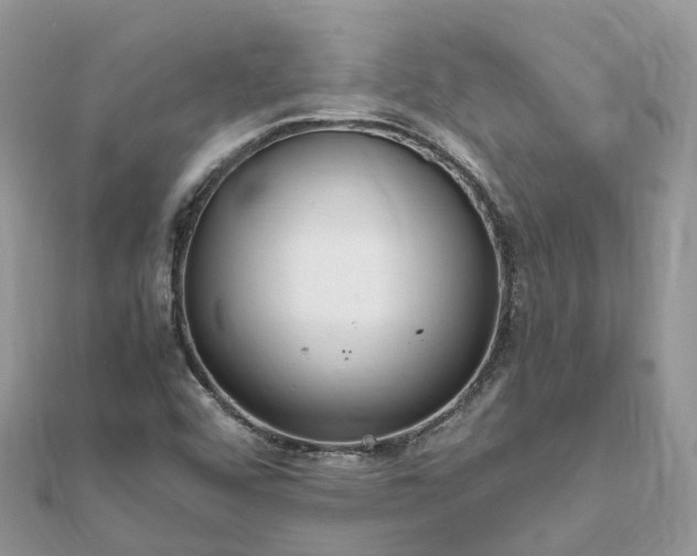 X0000111851456200907301101