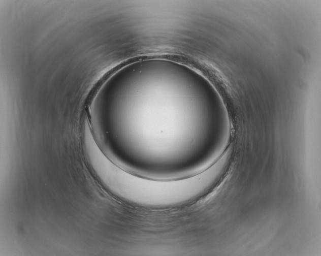 X0000111851457200907301101