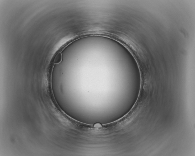 X0000111851458200907301101