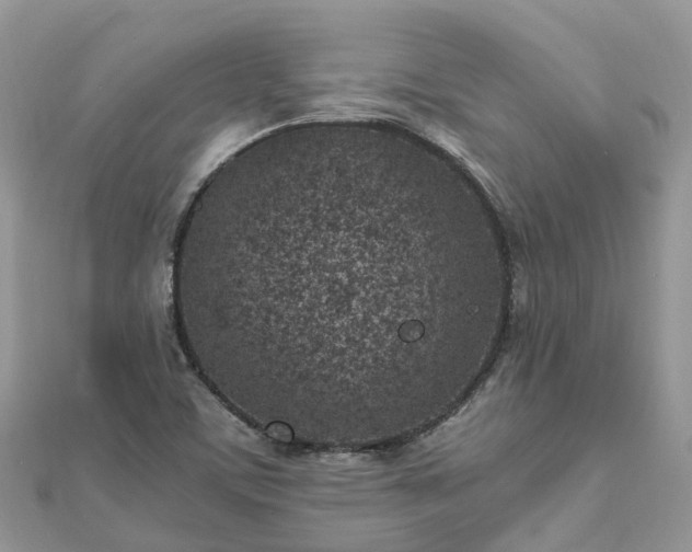 X0000111851459200907301101