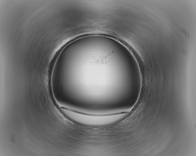 X0000111851460200907301101