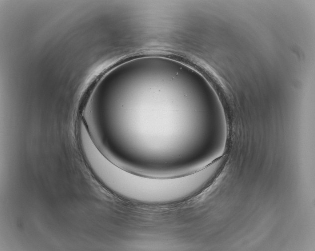 X0000111851461200907301101