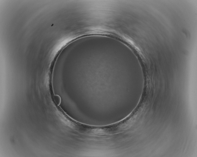 X0000111851463200907301101