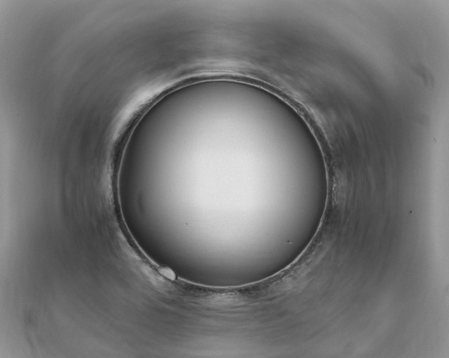 X0000111851464200907301101