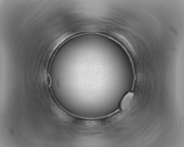 X0000111851465200907301101