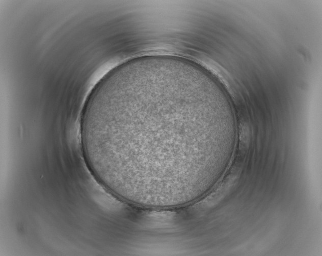 X0000111851466200907301101