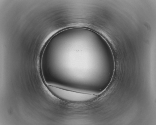 X0000111851468200907301101