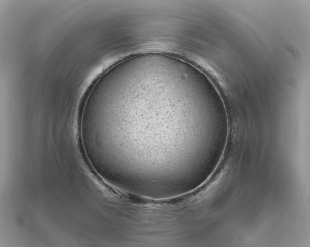 X0000111851469200907301101